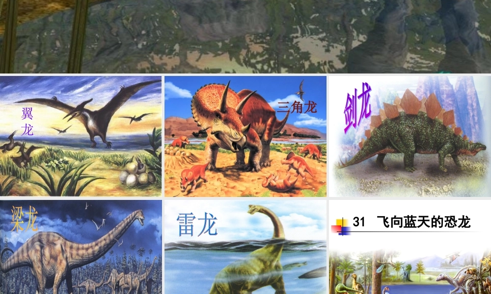 《31、飞向蓝天的恐龙》课件