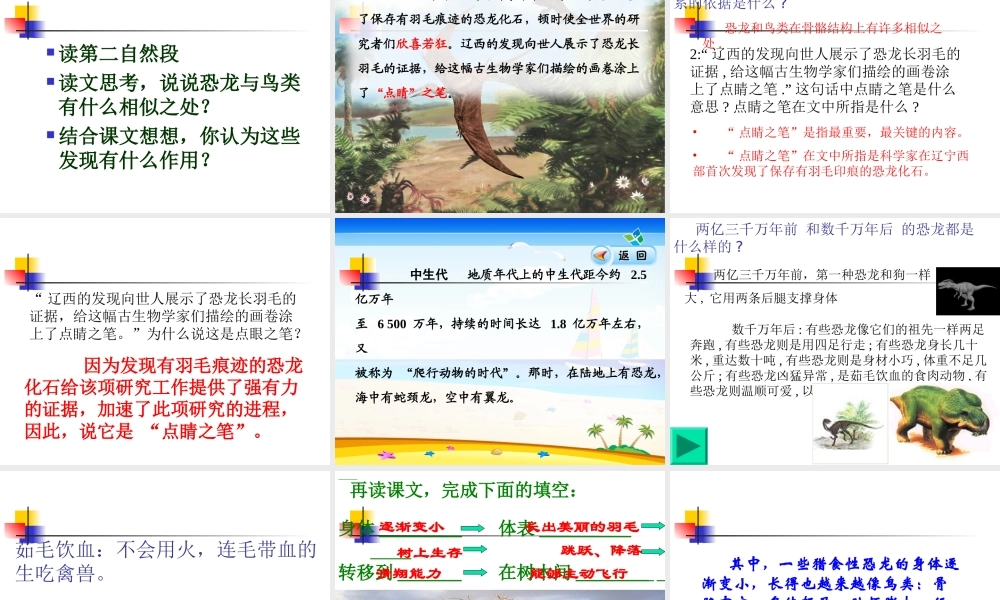 《31、飞向蓝天的恐龙》课件