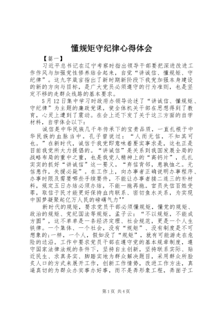 懂规矩守纪律心得体会