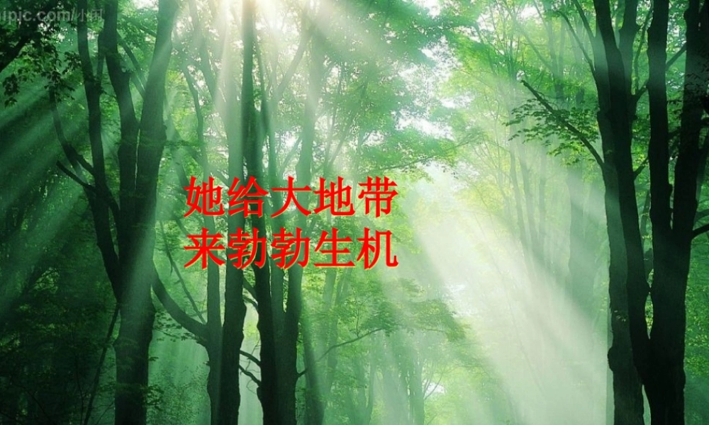 2012课题2《二氧化碳制取的研究》PPT课件