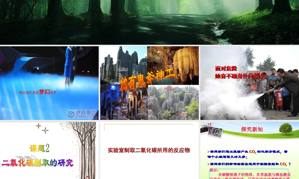 2012课题2《二氧化碳制取的研究》PPT课件