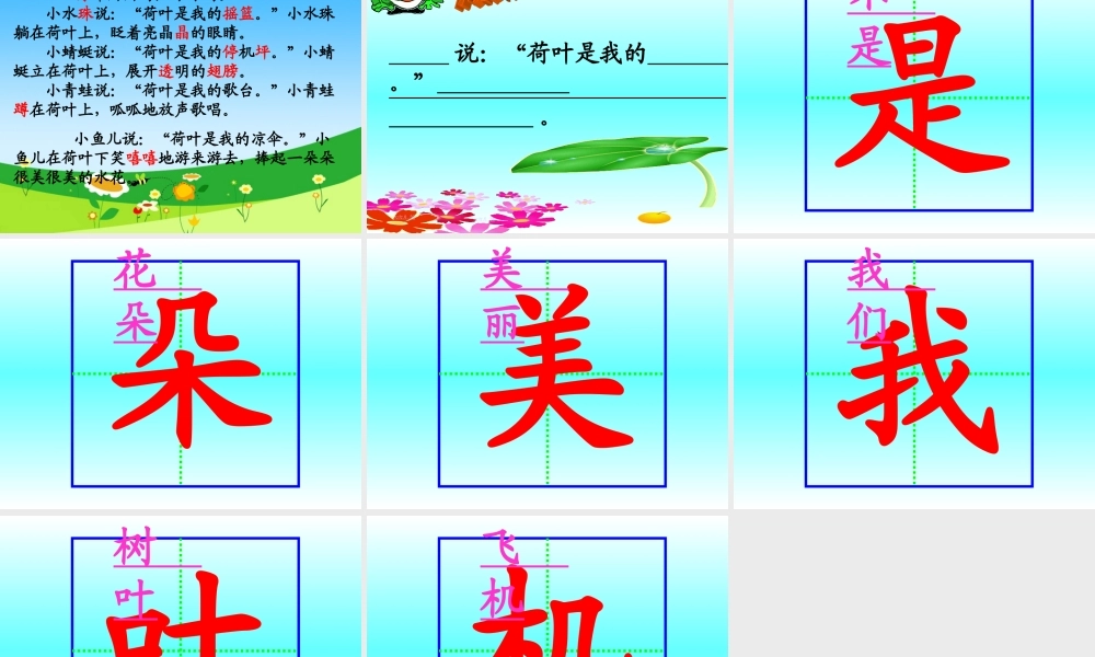 荷叶圆圆一（一）