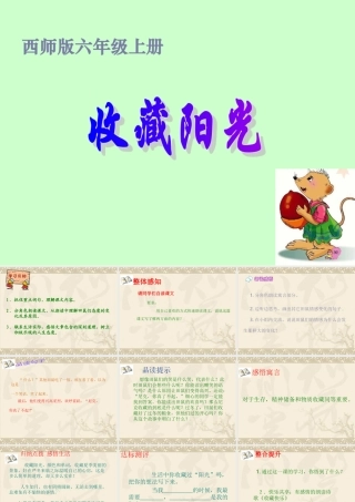 六年级上语文课件-收藏阳光_西师大版