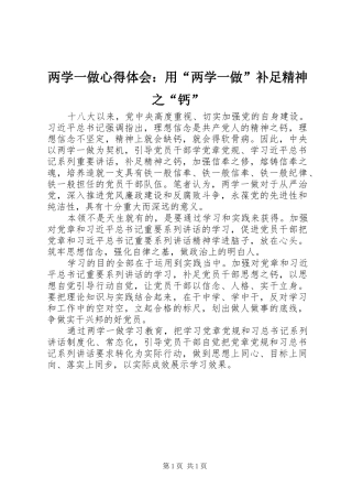 两学一做心得体会：用“两学一做”补足精神之“钙”