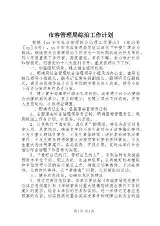 市容管理局综治工作计划 