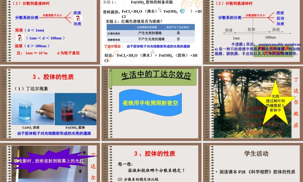 物质的分类课件