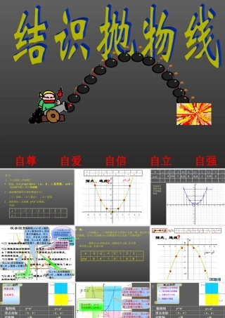 北师大版九年级数学下册结识抛物线
