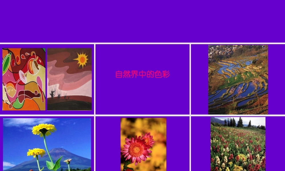 《色彩的对比》课件(人美版五年级美术下册课件)