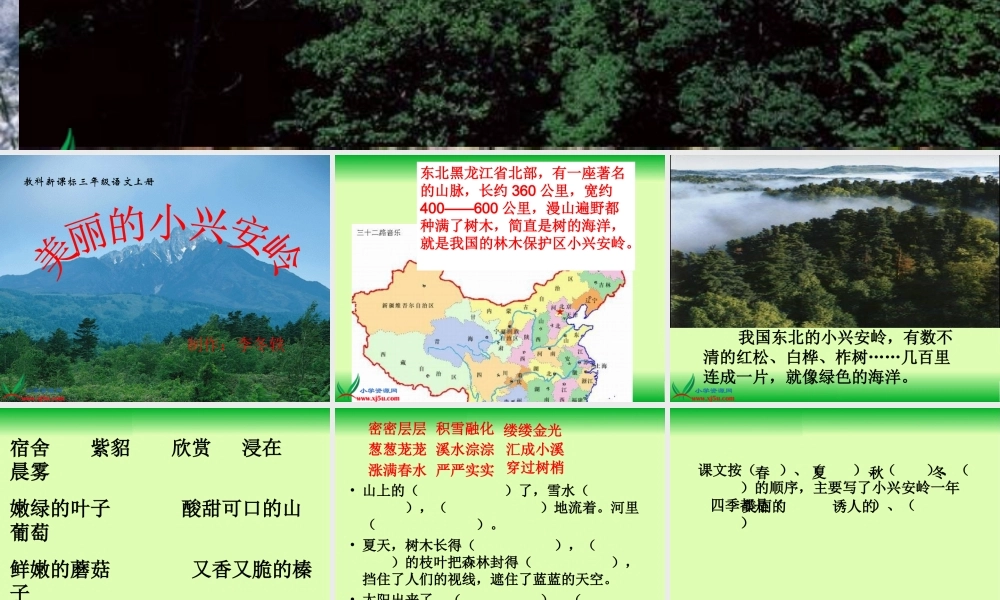 (教科版)_美丽的小兴安岭_1
