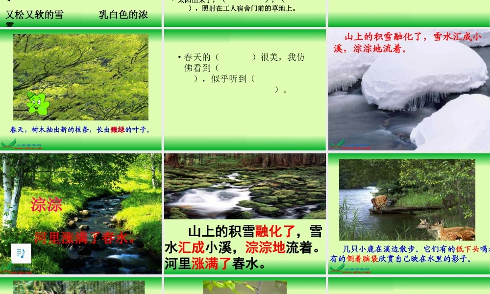 (教科版)_美丽的小兴安岭_1