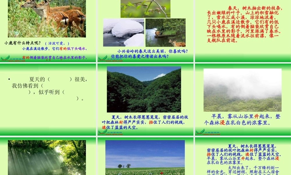 (教科版)_美丽的小兴安岭_1