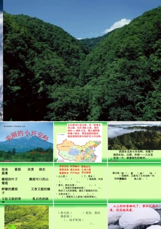 (教科版)_美丽的小兴安岭_1