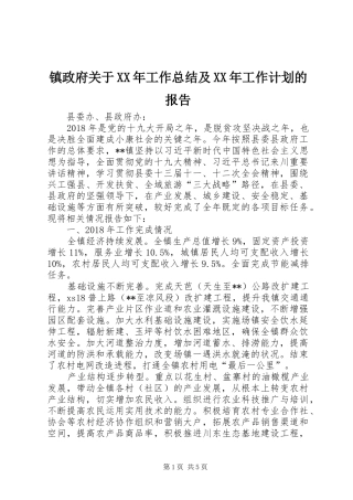镇政府关于XX年工作总结及XX年工作计划的报告 