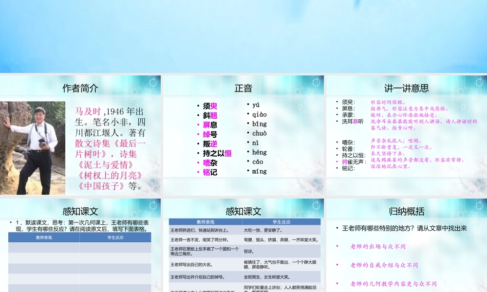 《王几何》课件