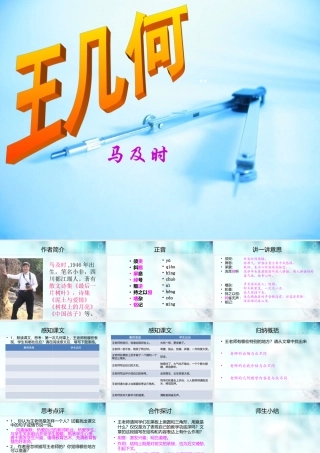 《王几何》课件