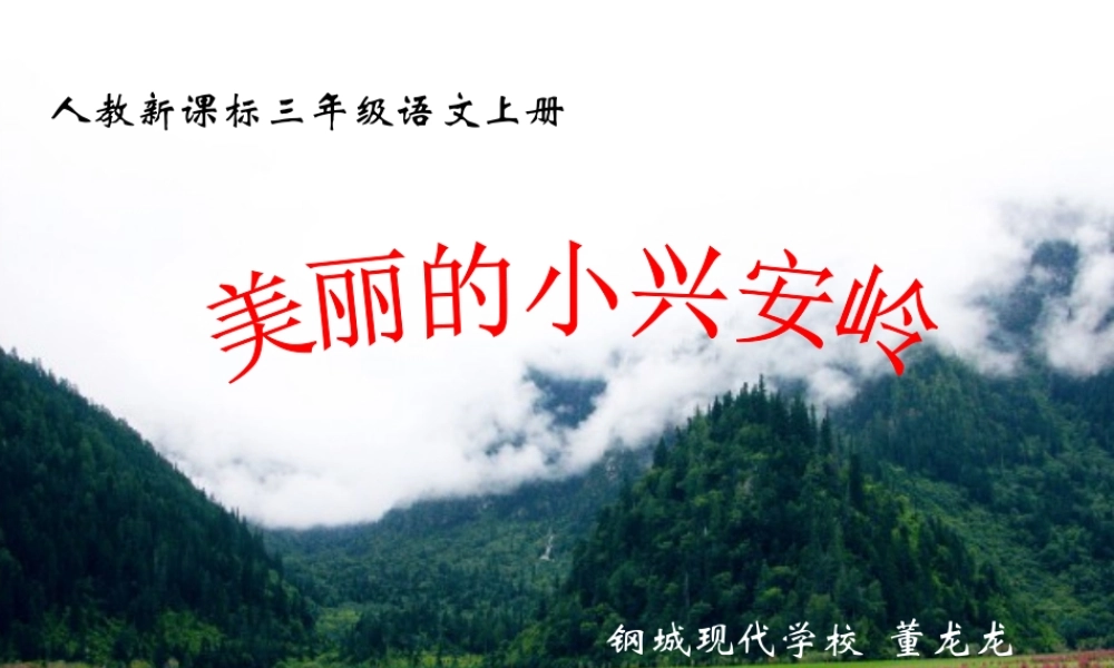 美丽的小兴安岭(公开课)