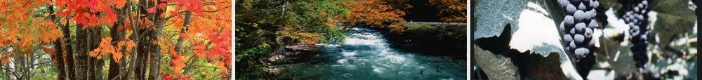 美丽的小兴安岭(公开课)