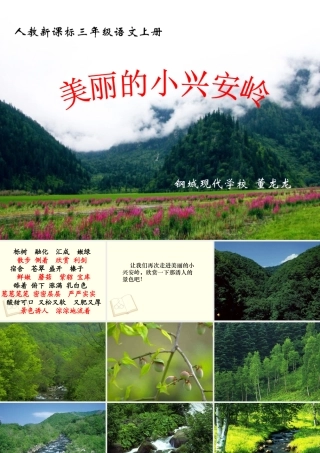 美丽的小兴安岭(公开课)