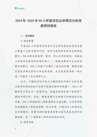 2024年-2025年VA小杯垫项目总体情况分析深度研究报告