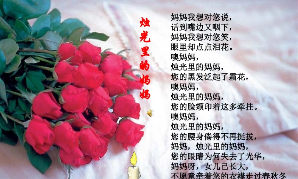 《我的母亲》课件