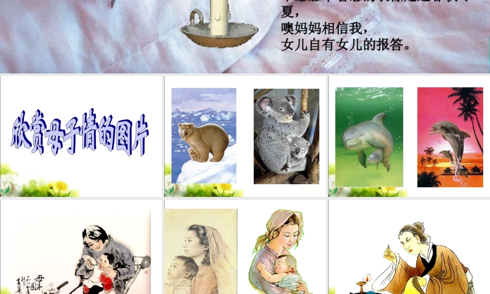 《我的母亲》课件