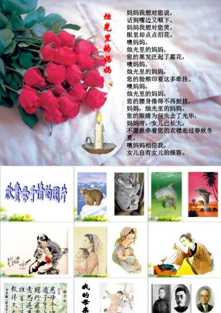 《我的母亲》课件