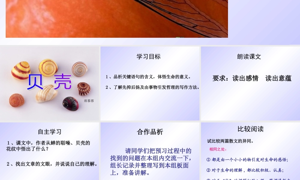 李丽《短文两篇·蝉·贝壳》