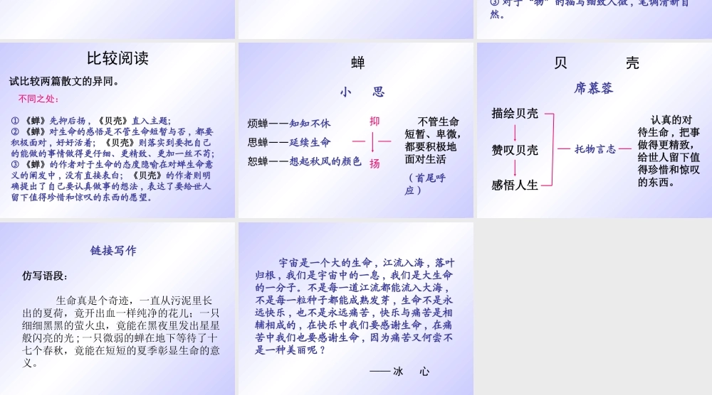 李丽《短文两篇·蝉·贝壳》
