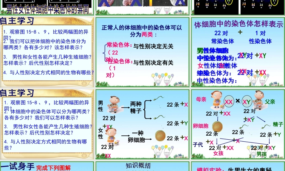 人的性别决定(1)