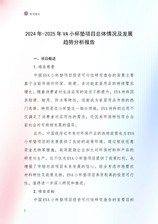 2024年-2025年VA小杯垫项目总体情况及发展趋势分析报告