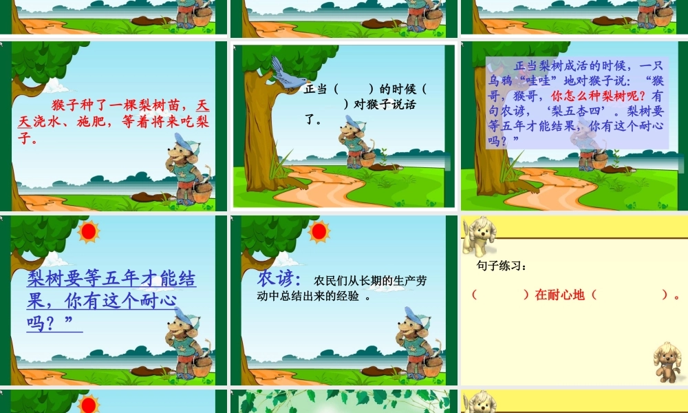 猴子种果树课件