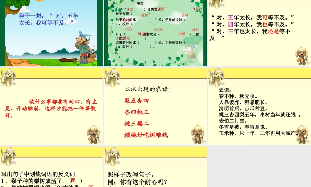 猴子种果树课件