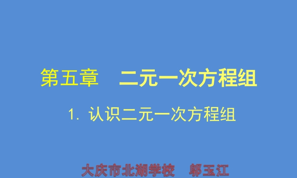 认识二元一次方程组 