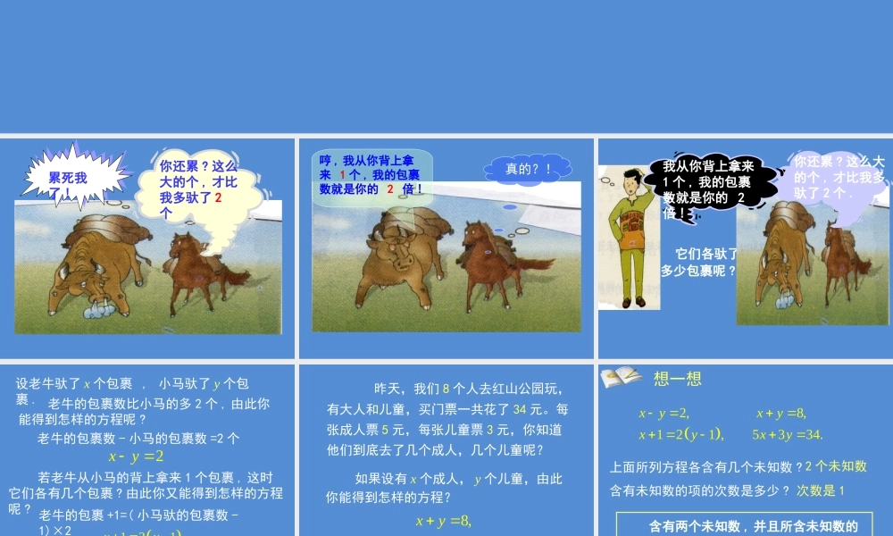 认识二元一次方程组 