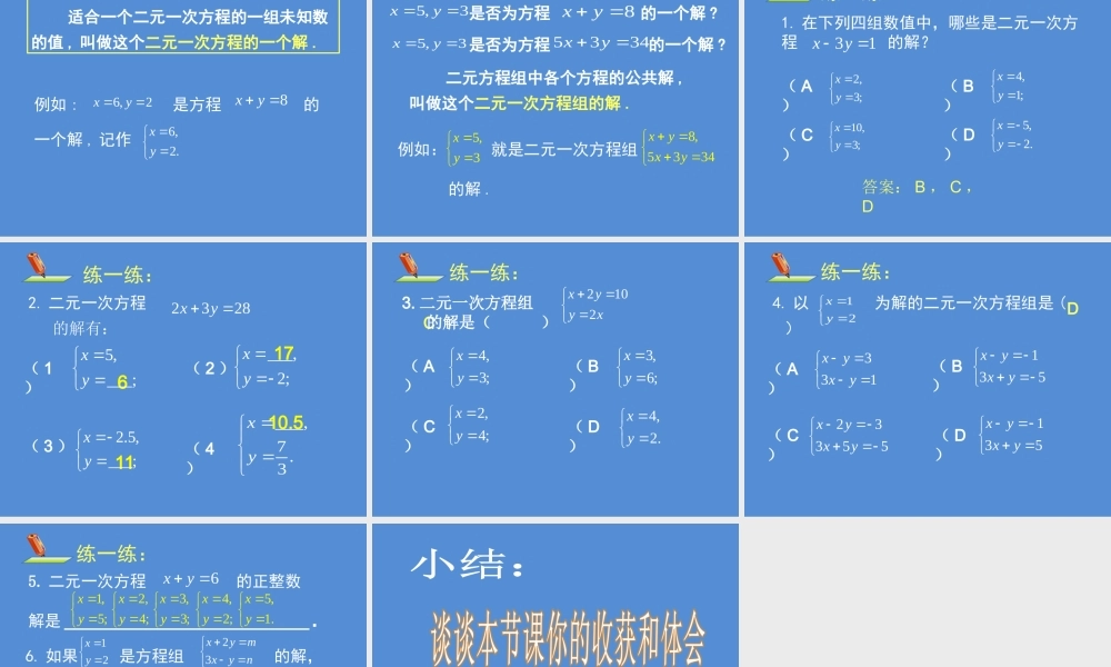 认识二元一次方程组 