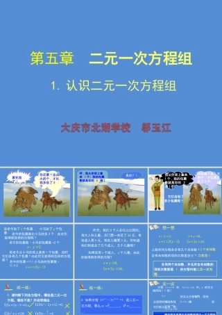 认识二元一次方程组 