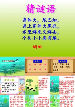 小蝌蚪找妈妈公开课