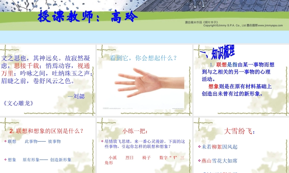 发挥联想与想象课件