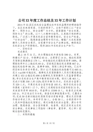 公司XX年度工作总结及XX年工作计划 