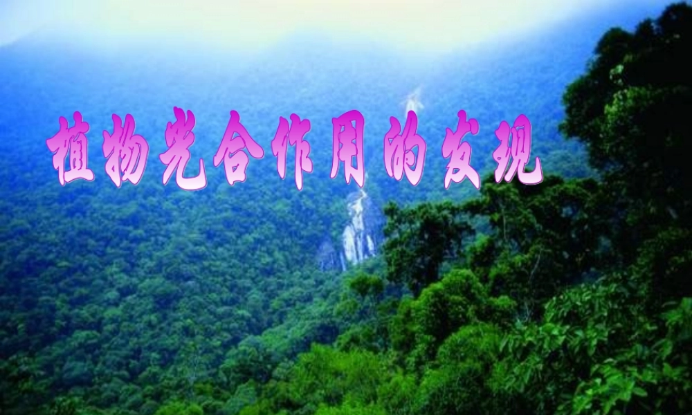 植物光合作用的发现