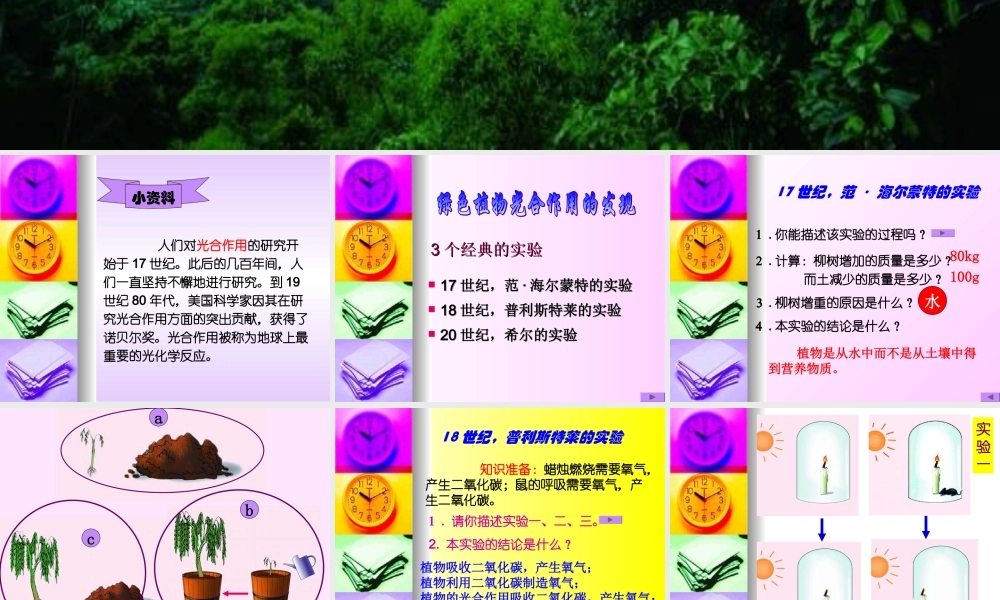 植物光合作用的发现