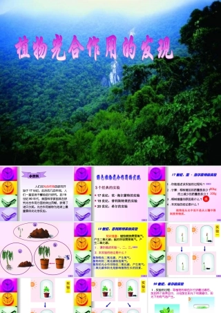 植物光合作用的发现