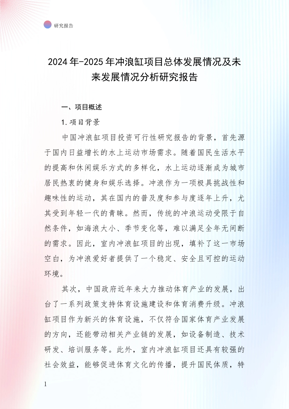 2024年-2025年冲浪缸项目总体发展情况及未来发展情况分析研究报告_第1页