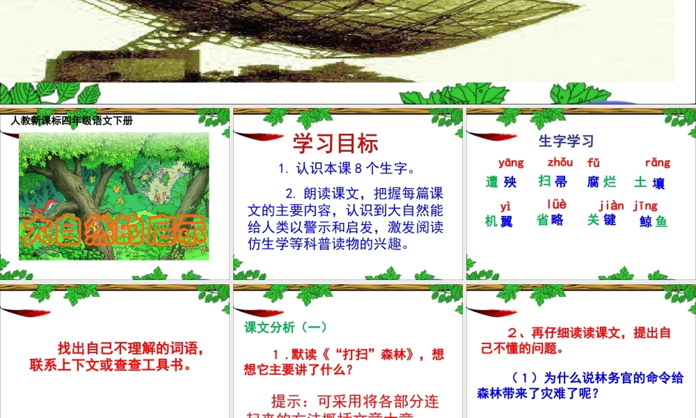 《大自然的启示》教学课件1