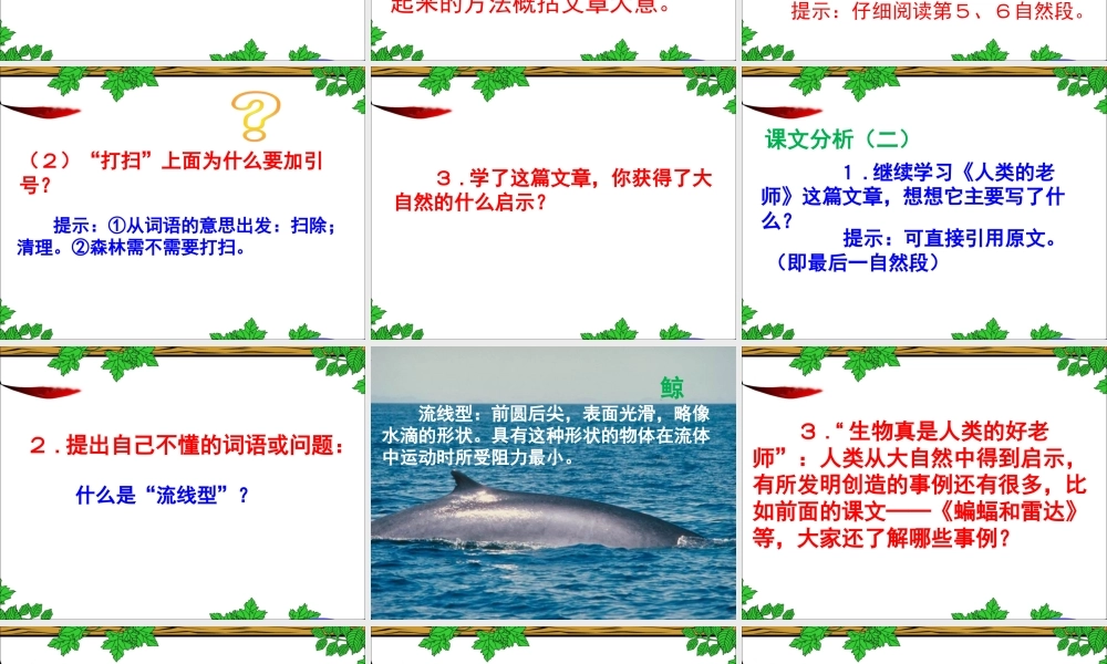 《大自然的启示》教学课件1