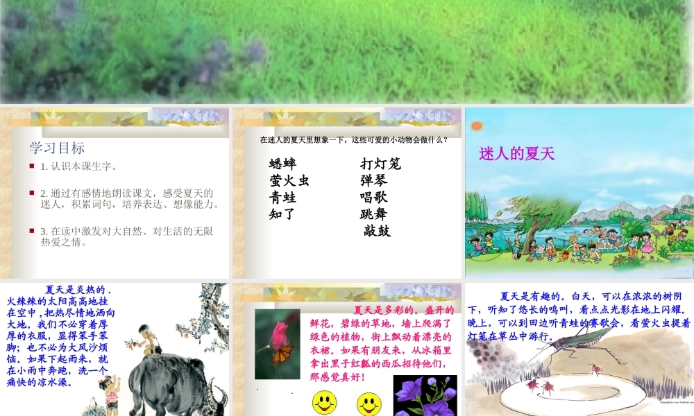 《迷人的夏天》PPT课件