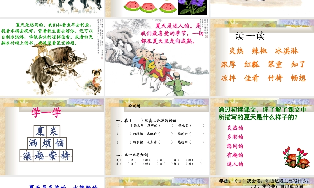 《迷人的夏天》PPT课件