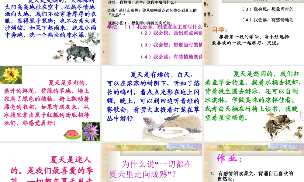 《迷人的夏天》PPT课件
