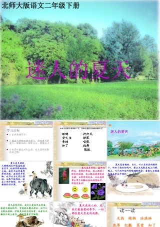 《迷人的夏天》PPT课件