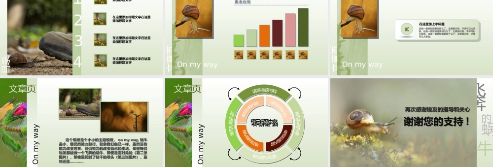飞奔蜗牛图表